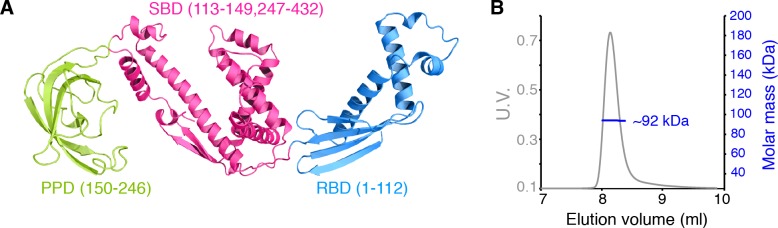 Figure 1.