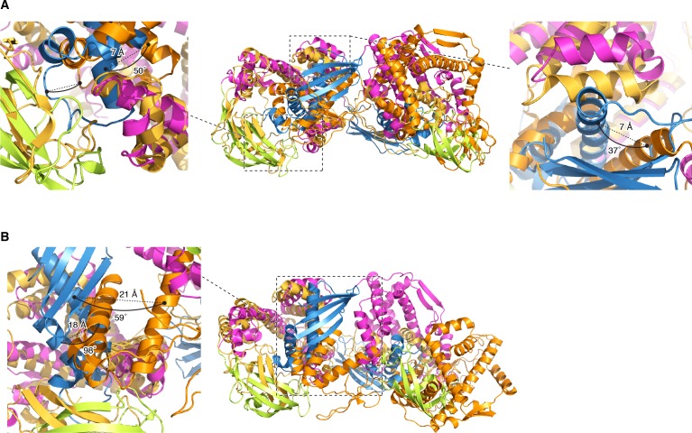 Figure 2—figure supplement 3.