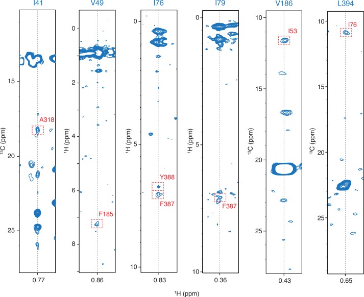 Figure 2—figure supplement 4.