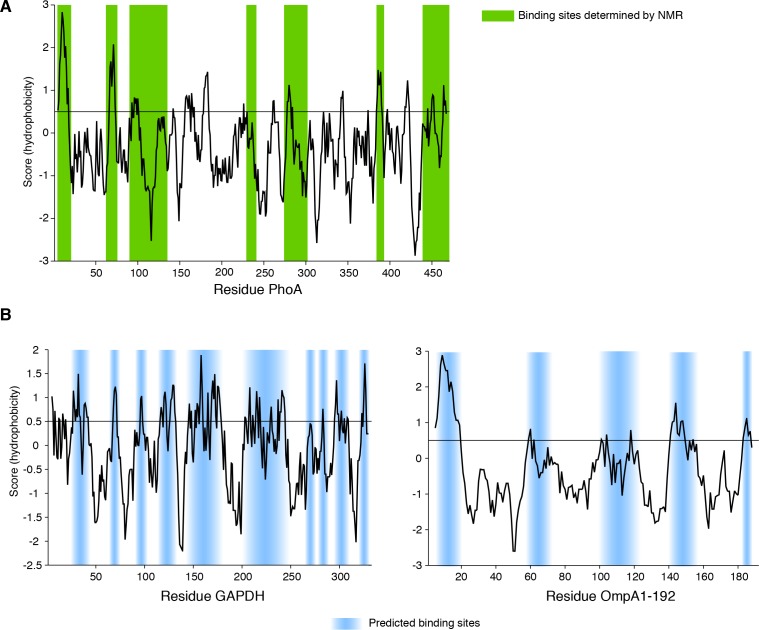 Figure 4—figure supplement 2.