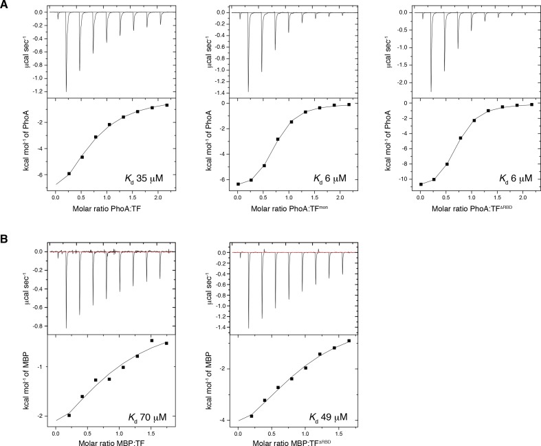 Figure 5—figure supplement 1.