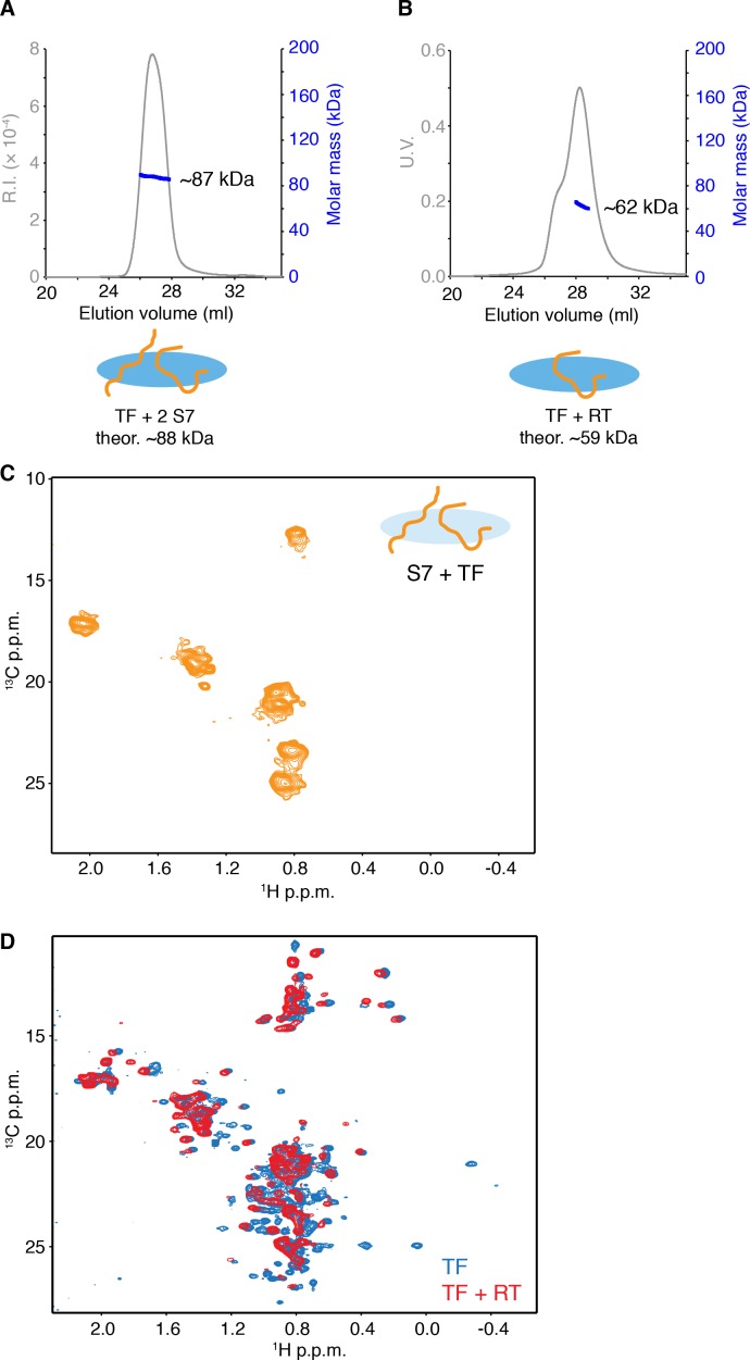 Figure 3—figure supplement 2.