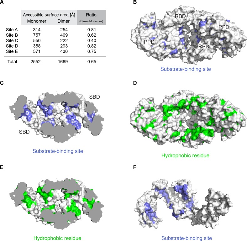 Figure 5—figure supplement 2.