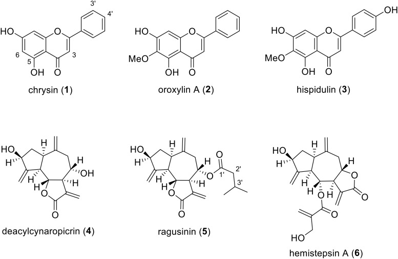 FIGURE 2