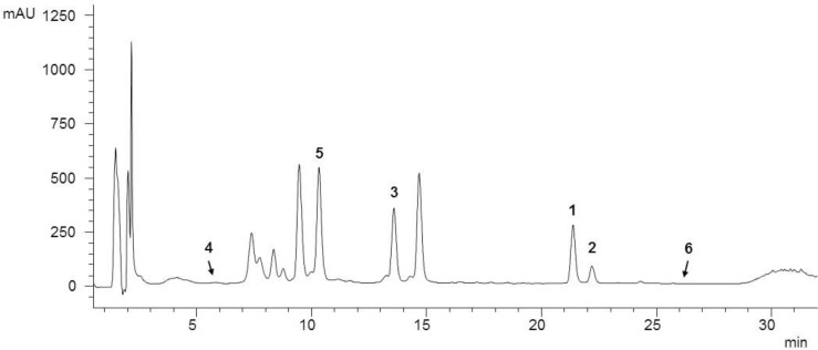 FIGURE 1