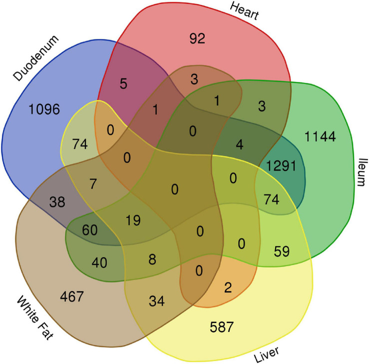 FIGURE 4