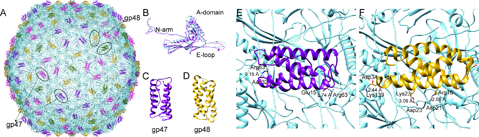 Figure 4: