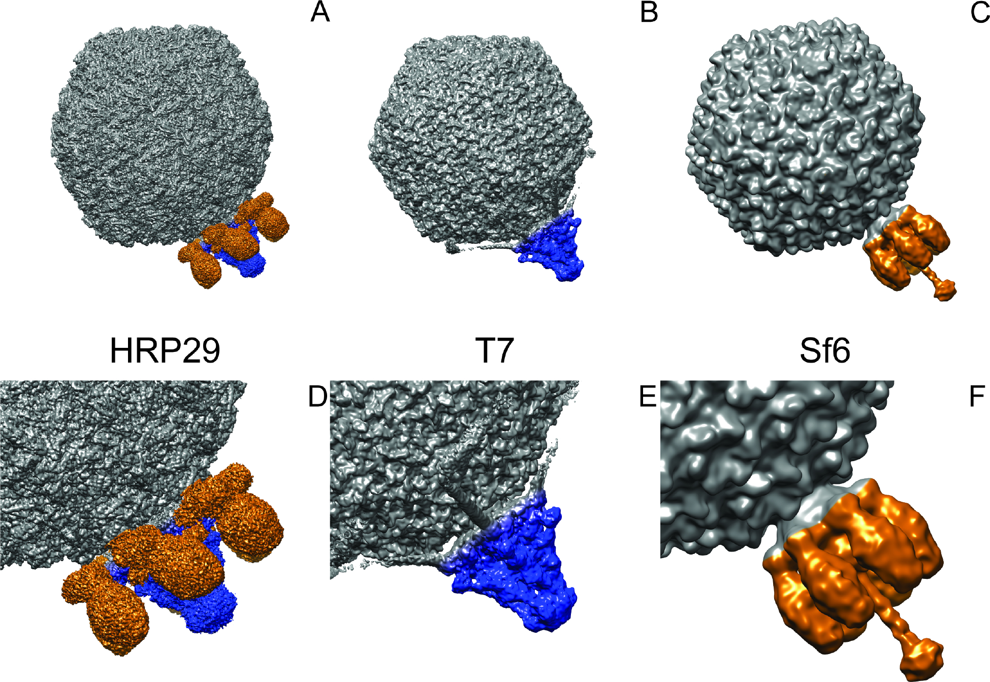 Figure 1: