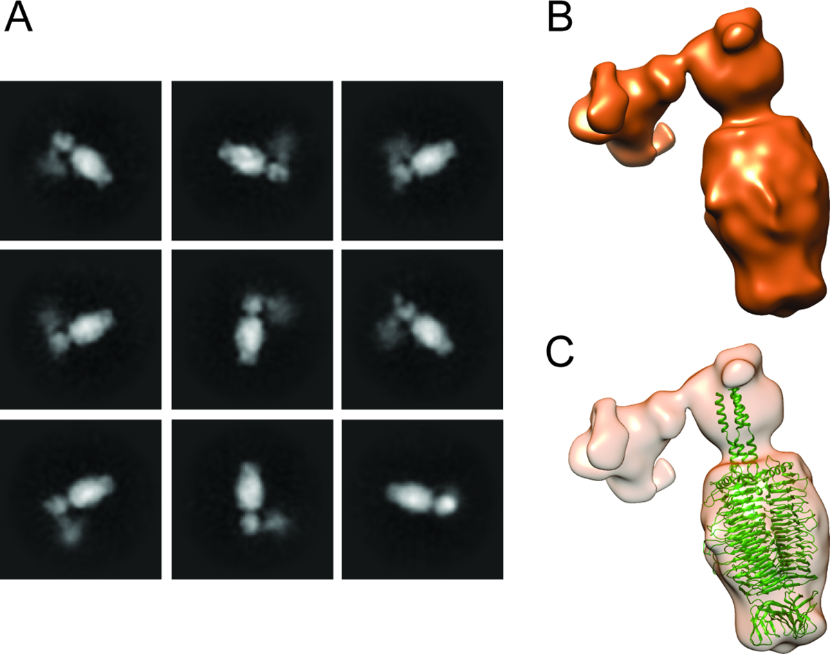 Figure 3: