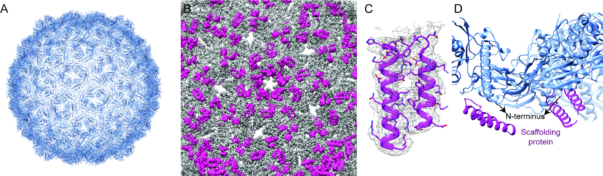 Figure 6: