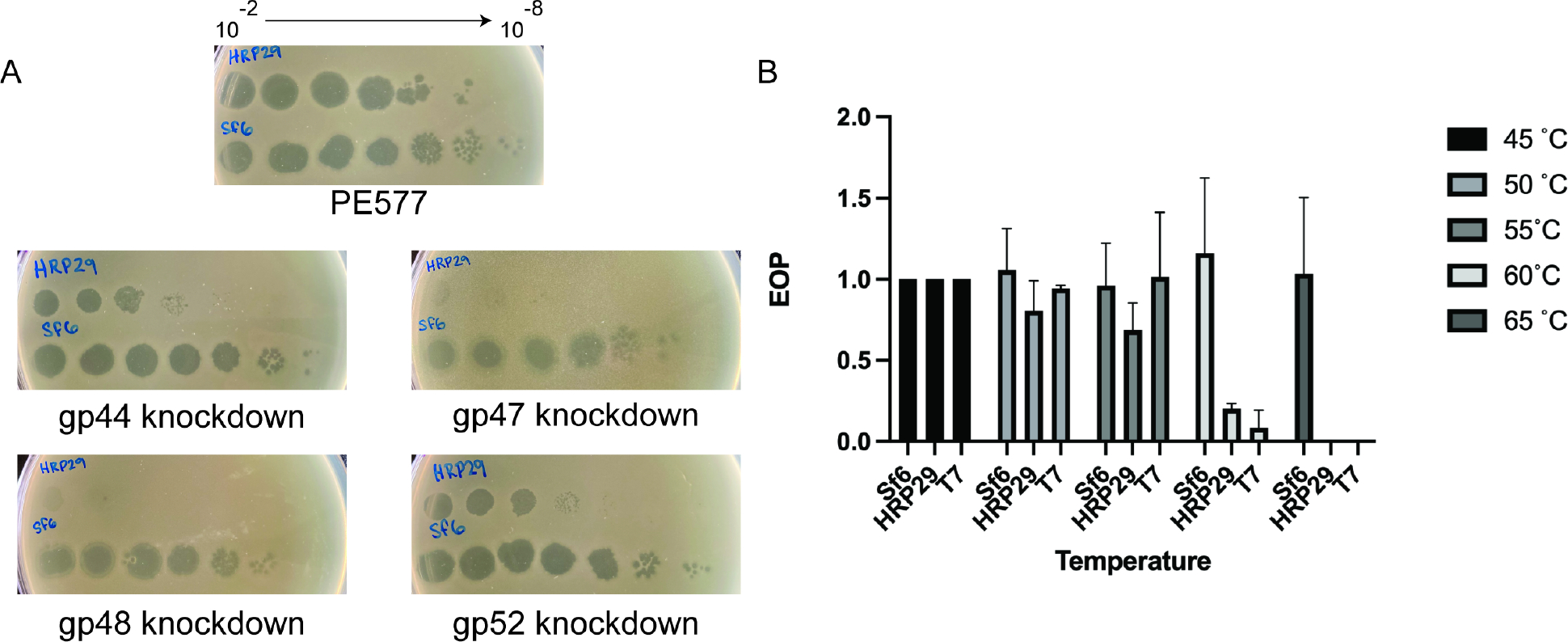 Figure 5: