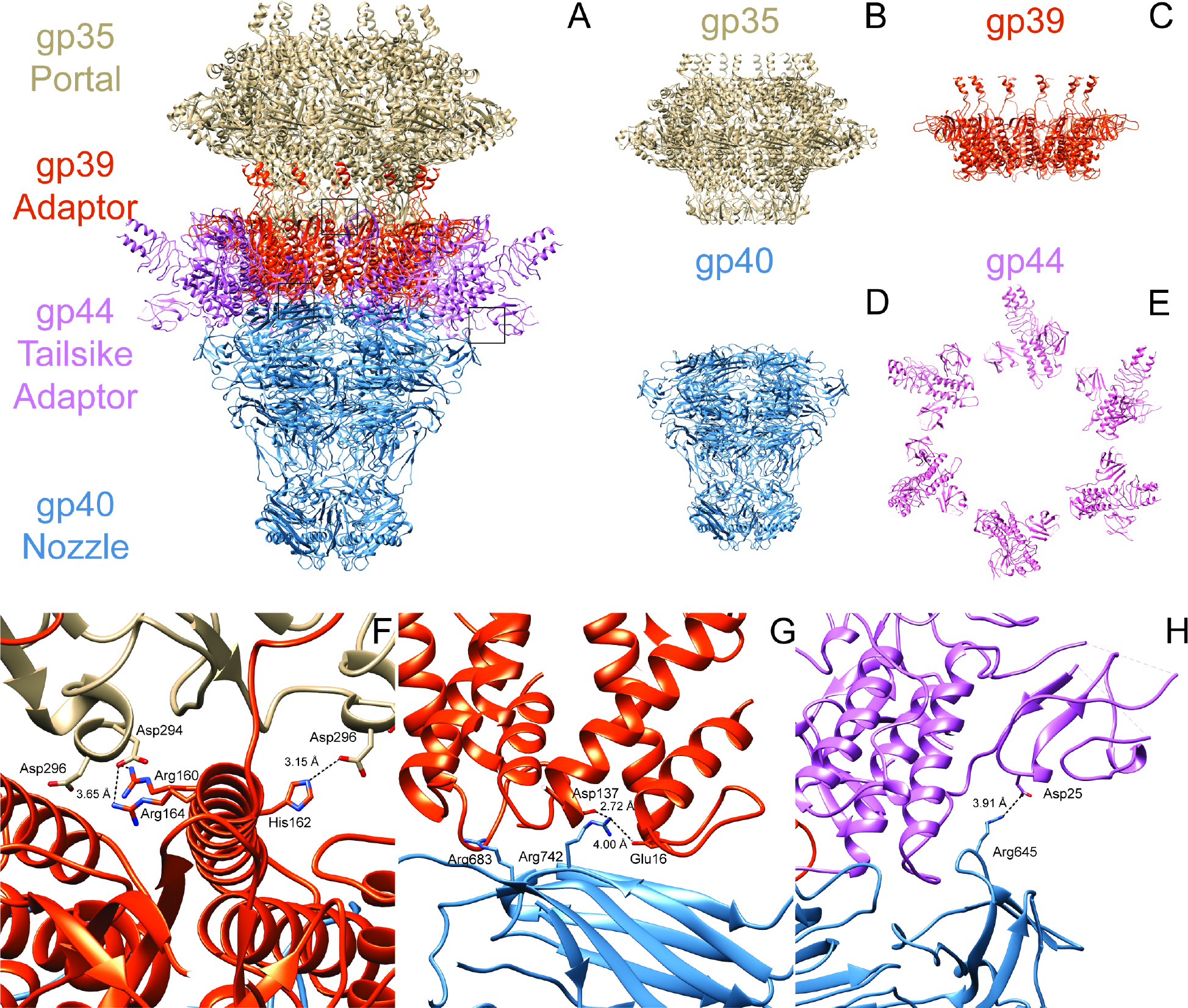 Figure 2: