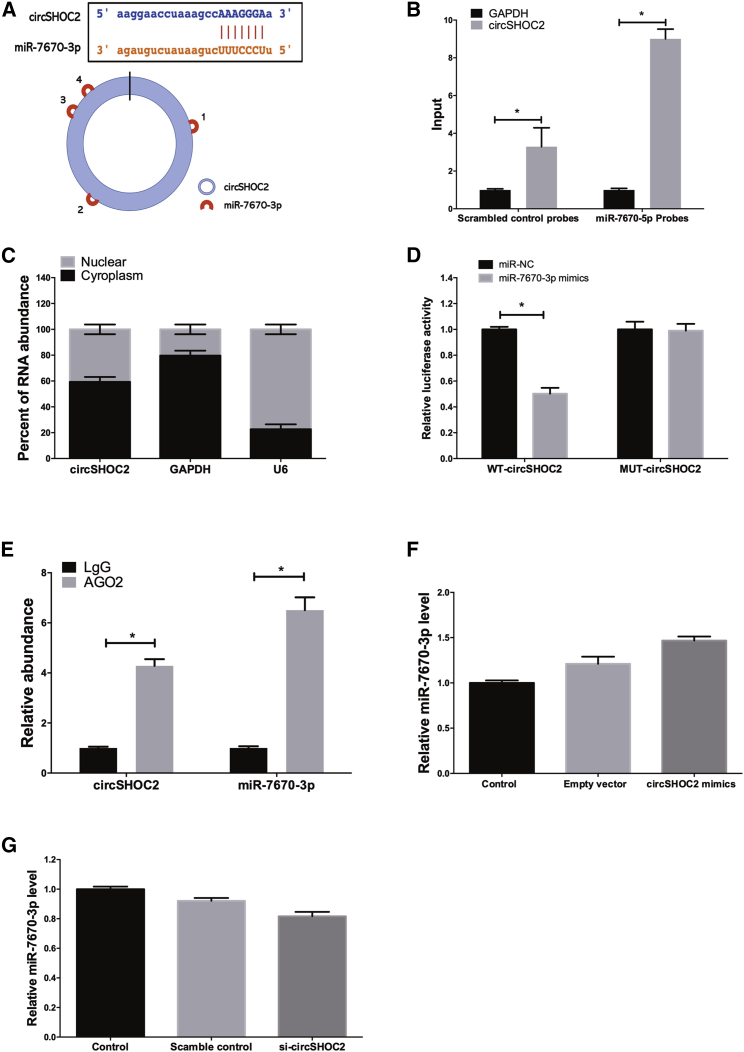 Figure 6