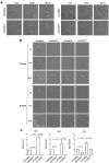 Figure 5.