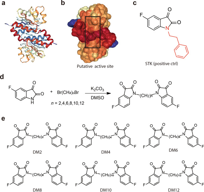 Fig. 1