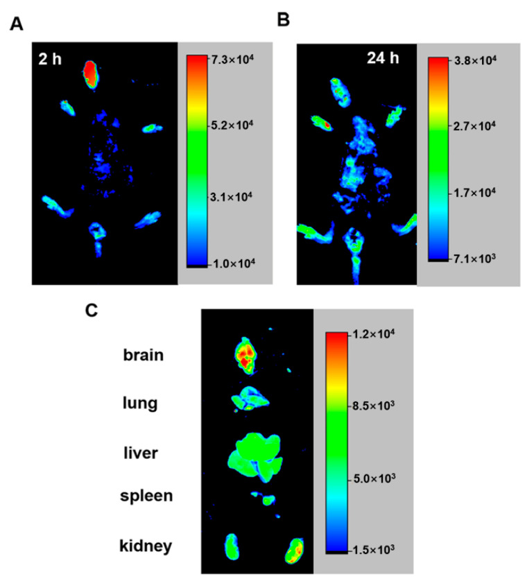 Figure 7