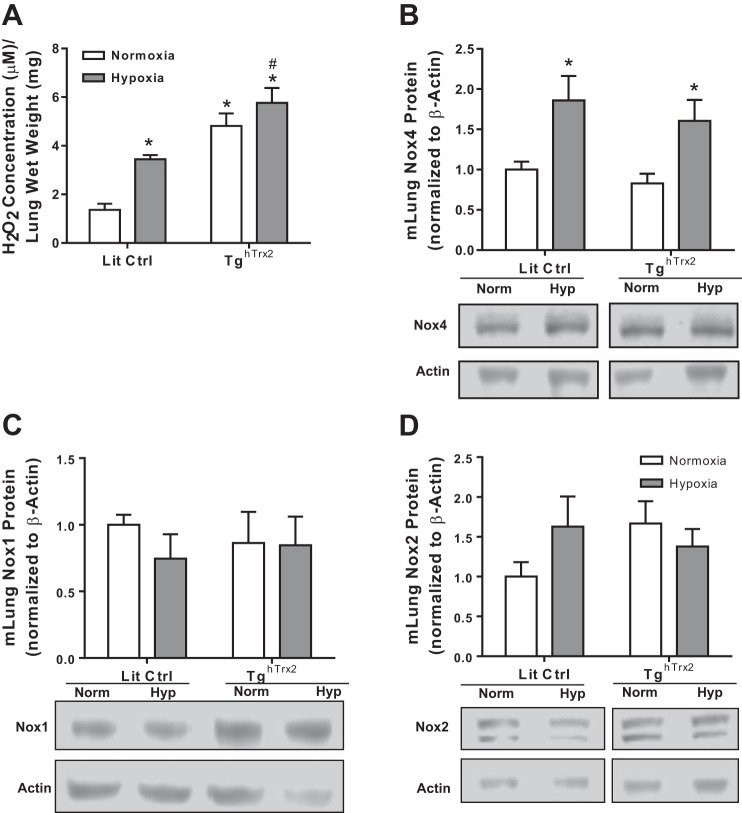 Fig. 6: