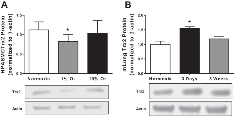 Fig. 2: