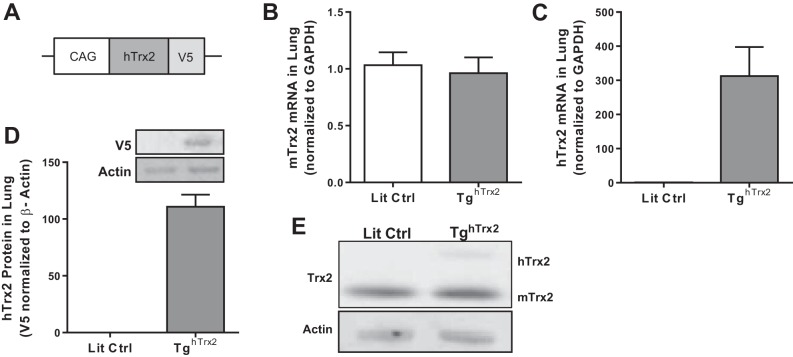 Fig. 4: