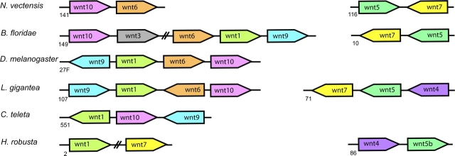 FIG. 2.