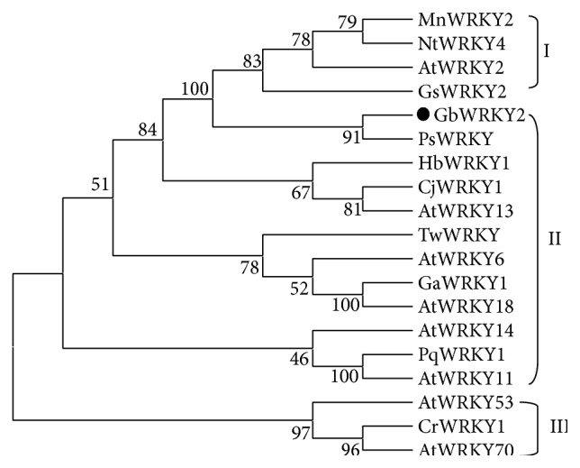 Figure 7