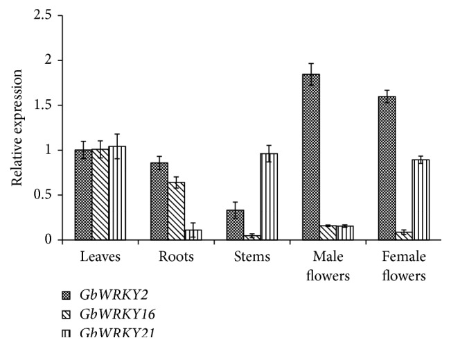 Figure 1