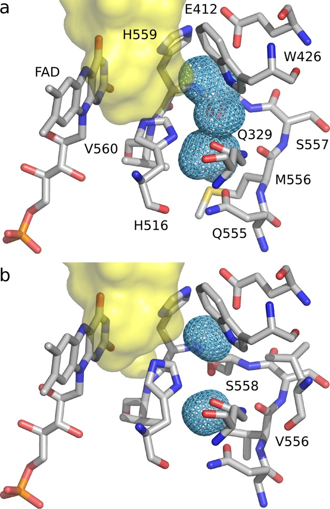 Figure 5