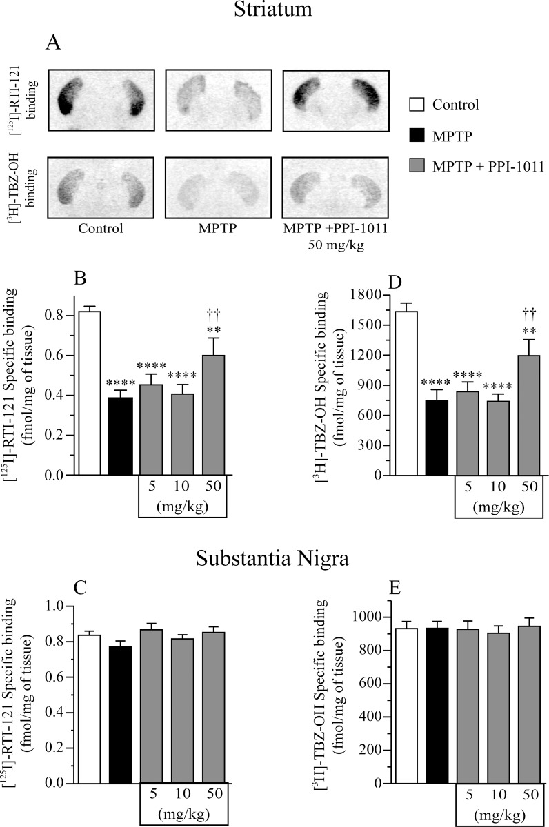 Fig 9