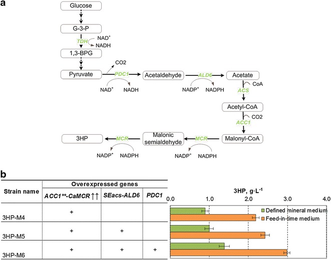 Fig. 2