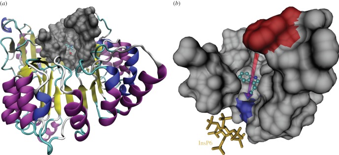 Figure 1.