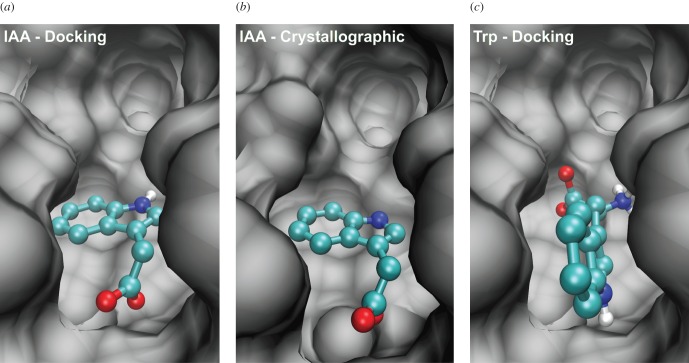 Figure 2.