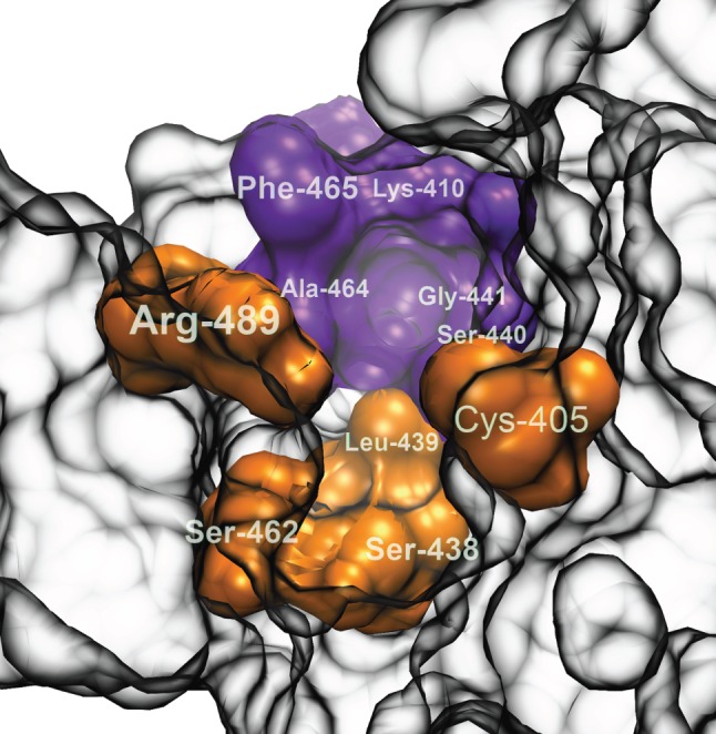 Figure 5.