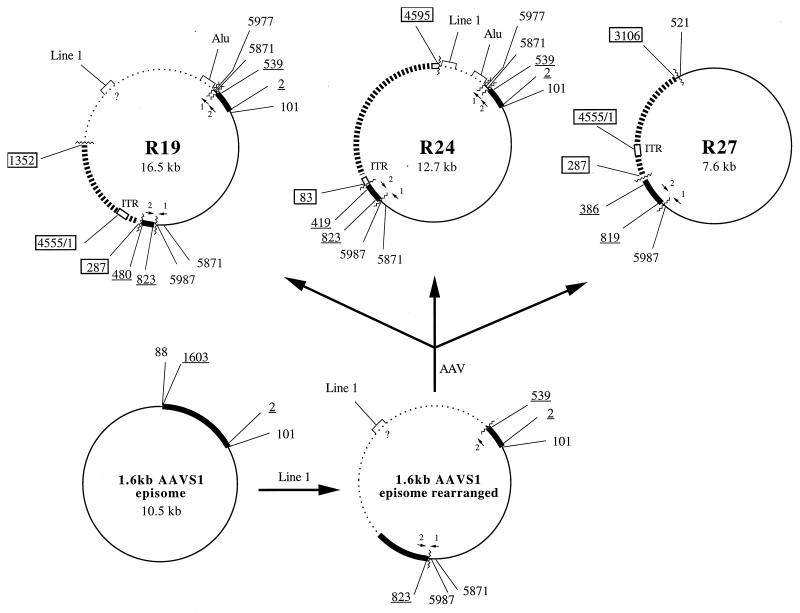 FIG. 3