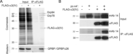 FIGURE 4.