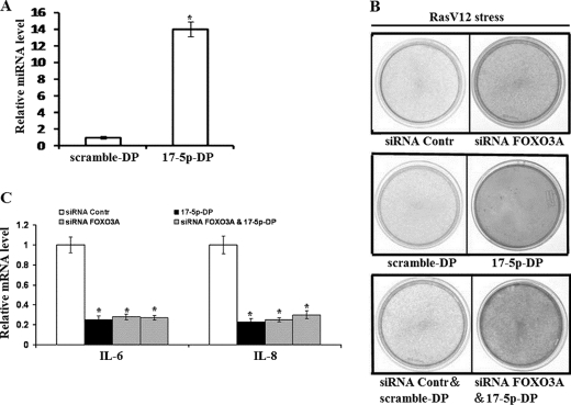 FIGURE 5.