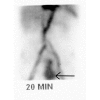 Figure 5)