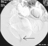 Figure 7)