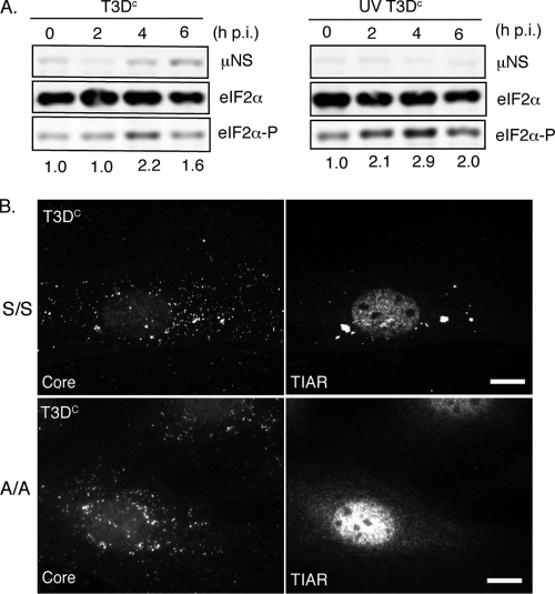 FIG. 7.