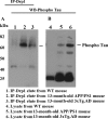 Figure 4.