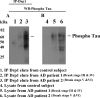 Figure 2.