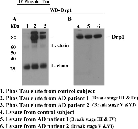 Figure 3.