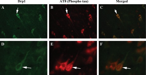 Figure 6.