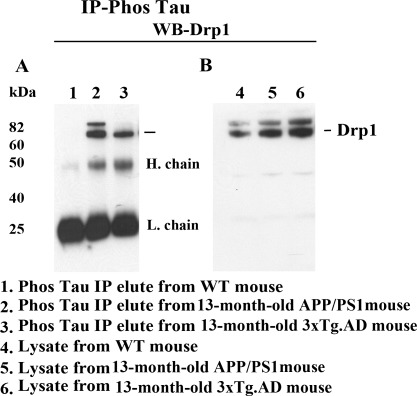 Figure 5.