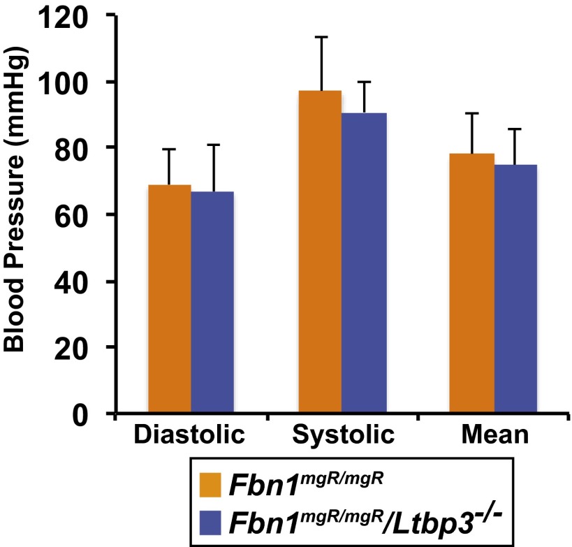 Fig. S1.