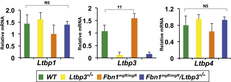 Fig. S4.