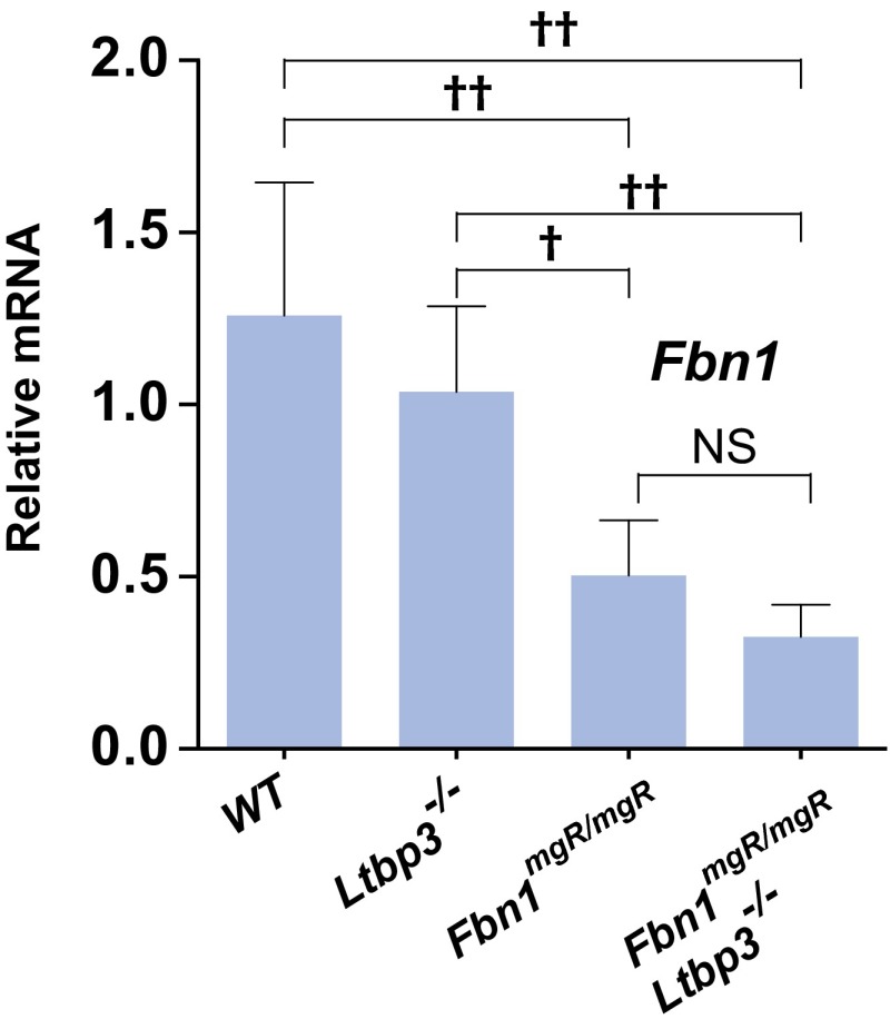 Fig. S3.