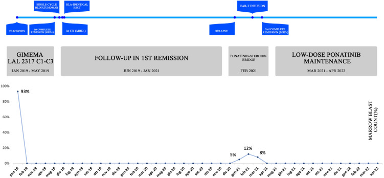 Figure 1