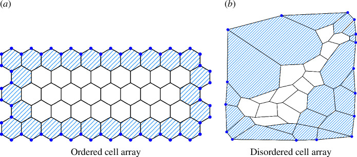 Ordered/disordered cell array used in the simulations. Interior cells are painted white, while boundary cells are represented by blue diagonal stripes.