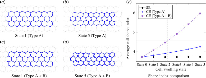 Simulation results and shape index comparison for an ordered collection of cells.