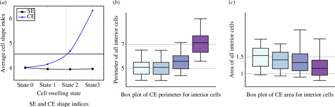 Perimeter and area of all interior CE cells and comparison of SE and CE shape indices for disordered cells (*excluding cell IDs 1 and 9).